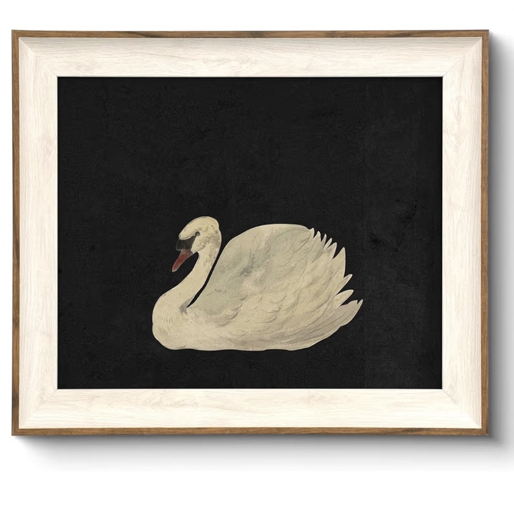 10x12 Swan Art